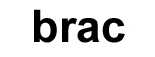 Brac Movement Parts